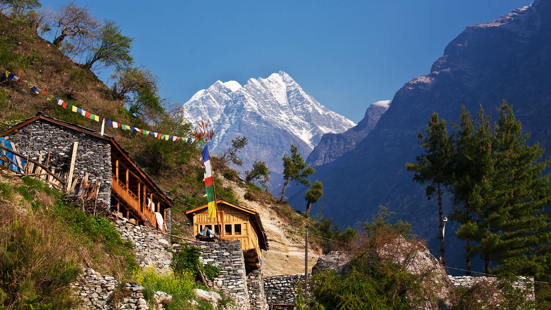 North India