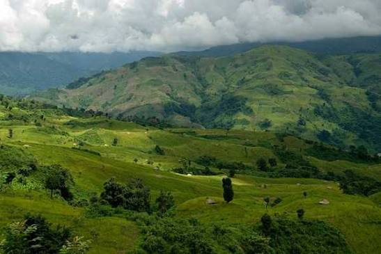 Tirap