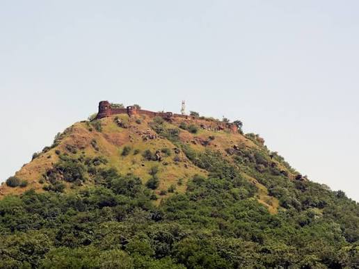 Tapi