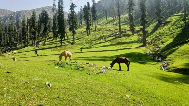 Ramban