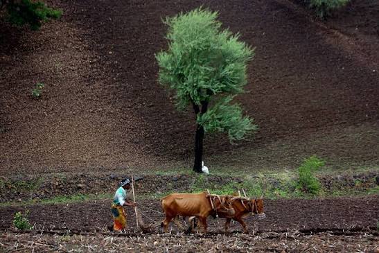 Jhabua