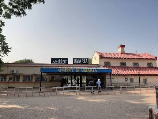 Umaria