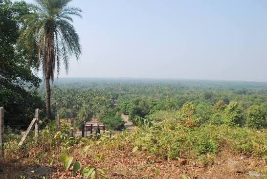 Palghar