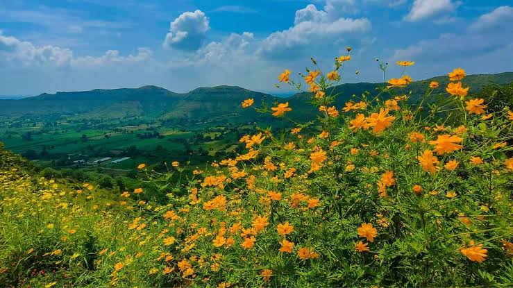 Satara