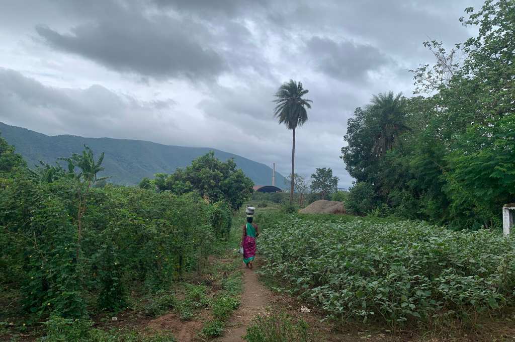 Kalahandi