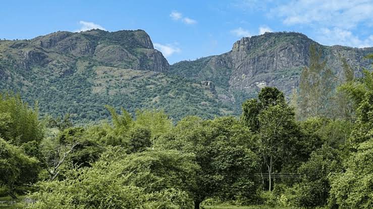 Nilgiris