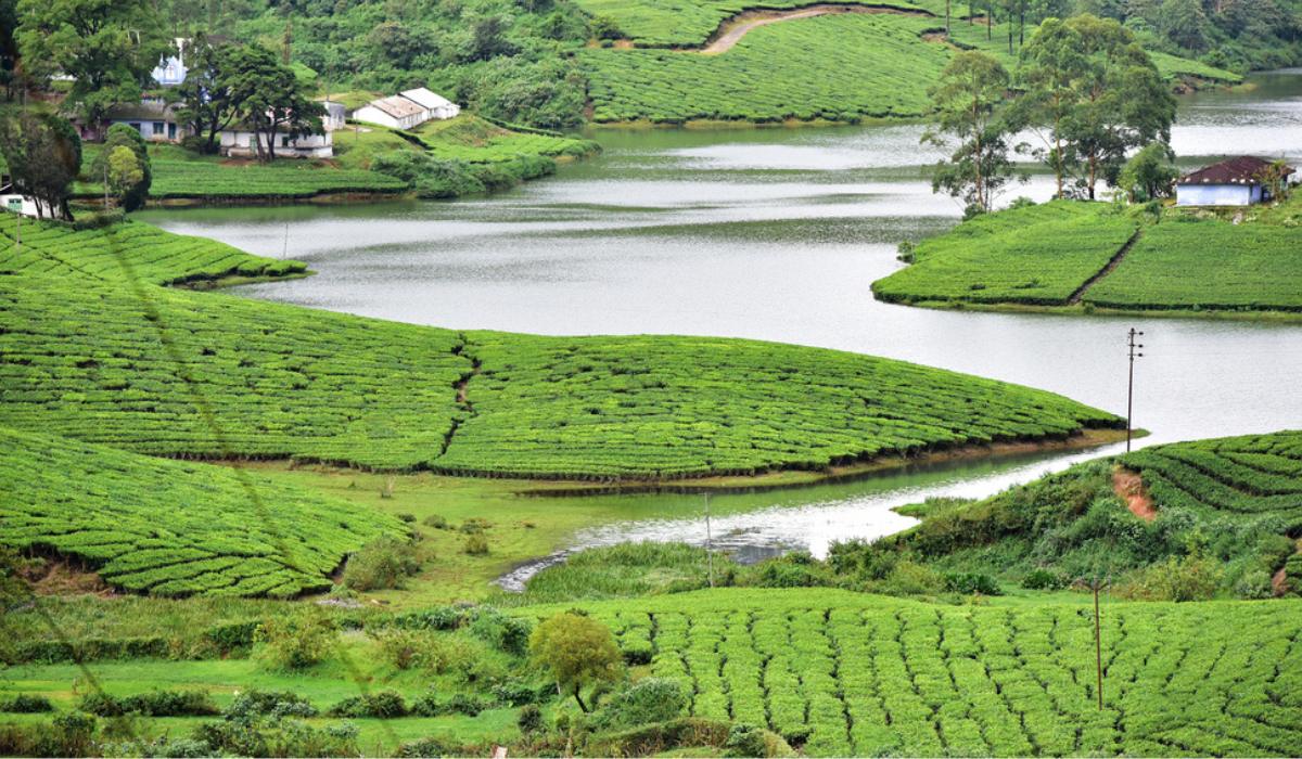 Theni