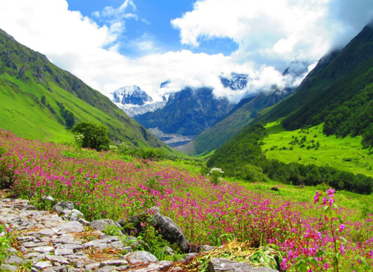 Chamoli