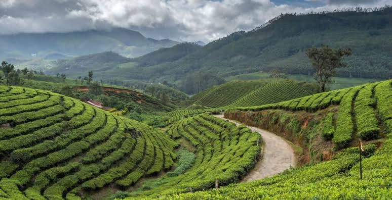 Darjeeling